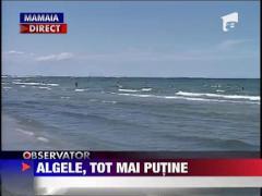 Mai putine alge pe litoral