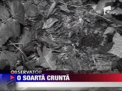 Accident in Giurgiu: A crezut ca a dat cu masina peste un caine, dar a omorat un copil