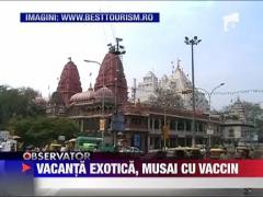 Vacantele exotice pot dauna grav sanatatii!