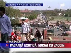 Vacantele exotice pot dauna sanatatii