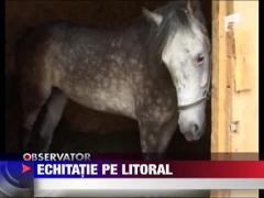 Cursuri de calarie pe litoral