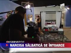 Narcisa Salbatica revine pe ecran