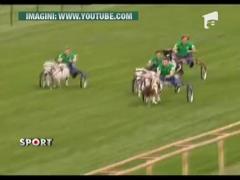 6 fotbalisti de la Werder Bremen s-au intrecut de pe ponei