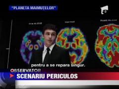 Testele pe animale, un scenariu periculos