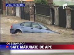 Observator de weekend