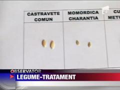 Leguma-minune in Romania: Castravetele amar