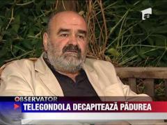 Defrisari masive in Rezervatia Rarau pentru a face loc unei partii