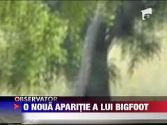 O noua aparitie a lui Bigfoot