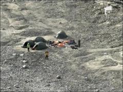 Tanar ucis de un urs polar