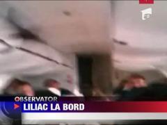 Cu liliacul in avion