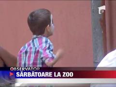 Zoo Baneasa este in sarbatoare