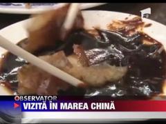 Emil Boc, vizita de lucru in China