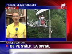 De pe stalp, la balamuc