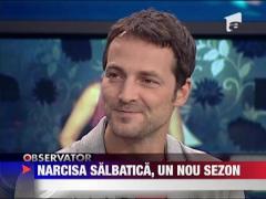 Narcisa Salbatica, un nou sezon