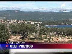 Cel mai bun ulei de masline