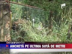 Ucigasii patronului din Bacau, cautati printre zilieri ‎