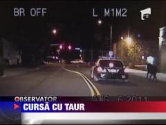 Un taur naravas le-a facut noaptea alba politistilor din SUA