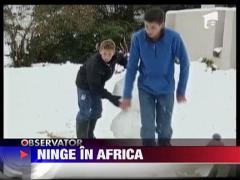 Ninge in Africa