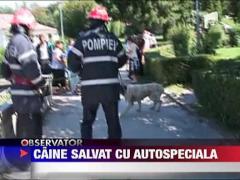 Misiune de salvare dificila