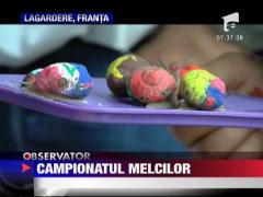 Campionatul anual al melcilor din Franta