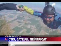 Vezi cum sare un caine cu parasuta!