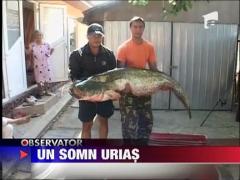 Captura record la pescuit