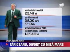 Avere mare de impartit intre sotii Tariceanu
