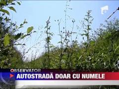 Autostrada Bucuresti-Pitesti inghite milioane de euro pentru intretinere