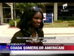 Coada somerilor americani