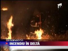 Observator 16 Weekend