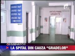 Copii in coma alcoolica dupa Festivalul Berii