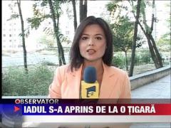 Incendiul din rezevatia de la Vadu, provocat de o tigara