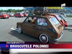 Parada broscutelor poloneze