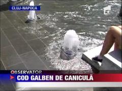 Cod galben de canicula