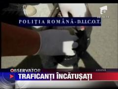 Cultivatori de droguri, prinsi in Iasi
