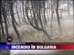 Incediu puternic de padure in Bulgaria