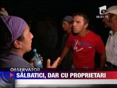 Caii de la Letea sunt salbatici, dar cu proprietari...