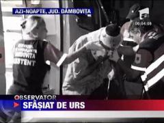 Cioban sfasiat de urs