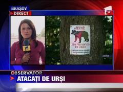 Pescar atacat de un urs, in judetul Harghita ‎