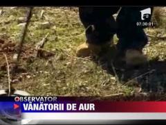 In Australia a reinceput goana dupa aur