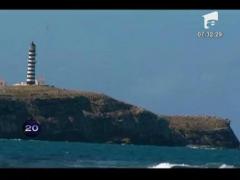 Manifestanti deghizati in balene