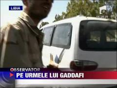 Gaddafi a incercat sa se refugieze in Algeria