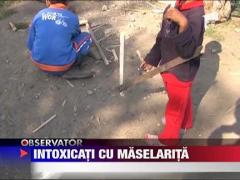 Doi copii din Piatra Neamt s-au intoxicat cu semintele unei plante otravitoare
