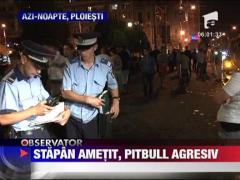 Centrul Ploiestiului, terorizat timp de doua ore de un pitbull