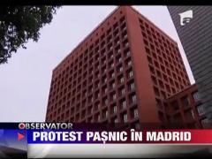 Protest pasnic in Madrid