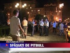 Trei persoane au fost atacate de un pitbull scapat de sub control in centrul Ploiestiului
