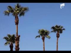 Las Vegas a ajuns in pragul falimentului