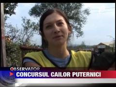 Concursul cailor puternici