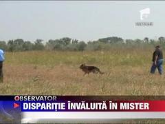 Un prahovean a disparut dupa ce a fost sechestrat o noapte ‎