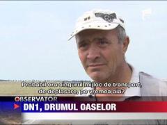 Descoperire istorica in Paulesti